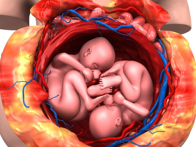 Dr. Javid OB-GYN