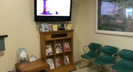 Dr. Javid OB-GYN